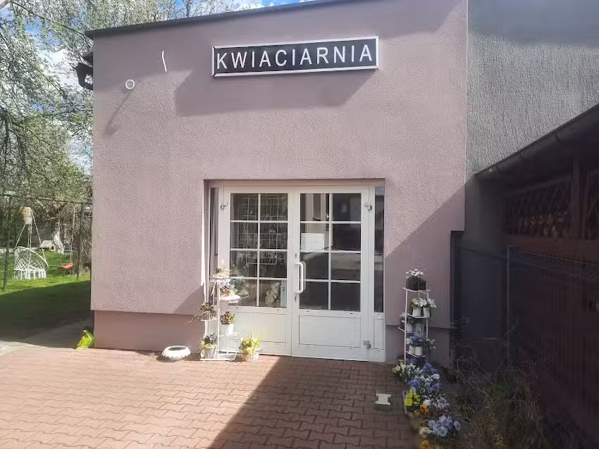 kwiaciarnia kolorowy motyl,BALONY Z HELEM