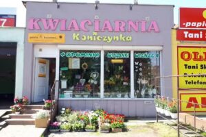 Kwiaciarnia Koniczynka, Tatiana Henkel