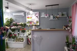 Kwiaciarnia Konwalia