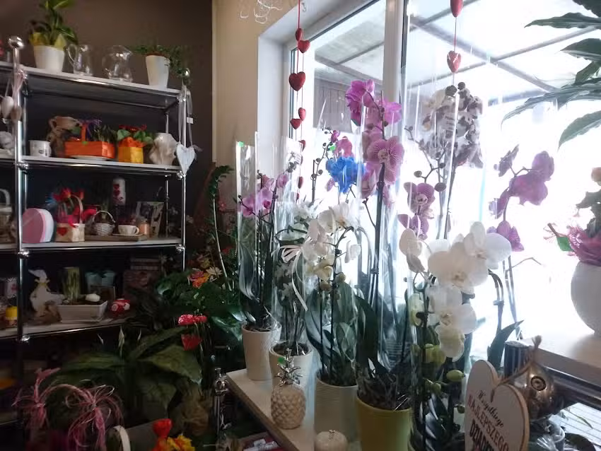 Kwiaciarnia Konwalia