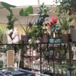 Kwiaciarnia Kozacka.