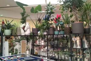 Kwiaciarnia Kozacka.