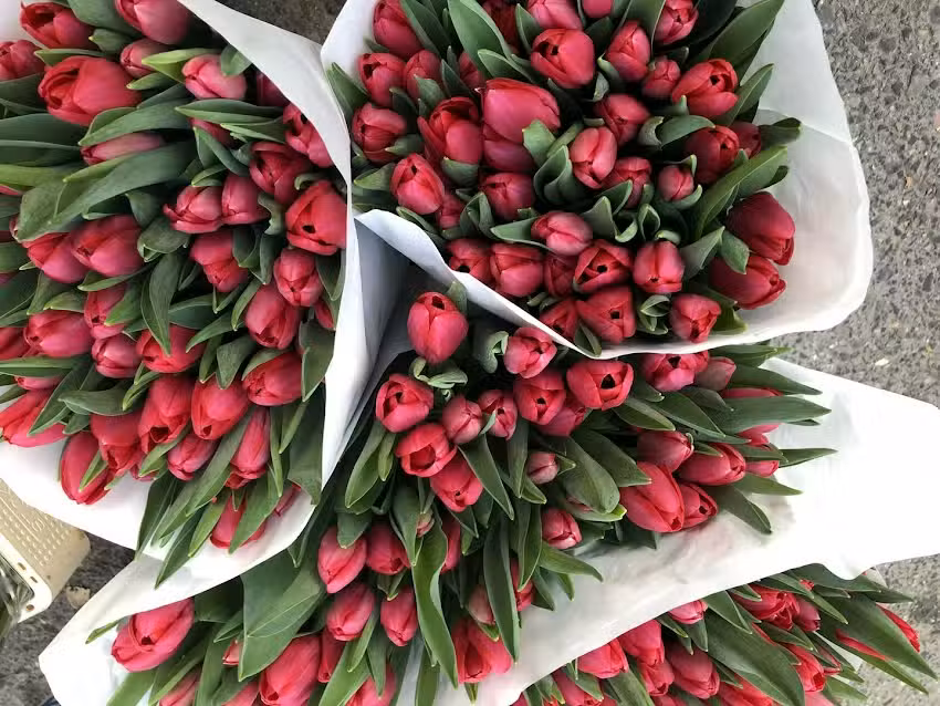 Kwiaciarnia Krokus Dorota Bułajewska