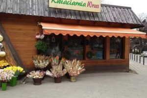 Kwiaciarnia KROKUS Zakopane