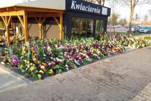 Kwiaciarnia Krzewina