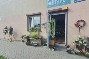 Kwiaciarnia Kwiat Paproci