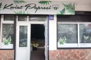 Kwiaciarnia Kwiat Paproci Bukieciarnia