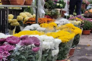 Kwiaciarnia Kwiatkiodpanatatki