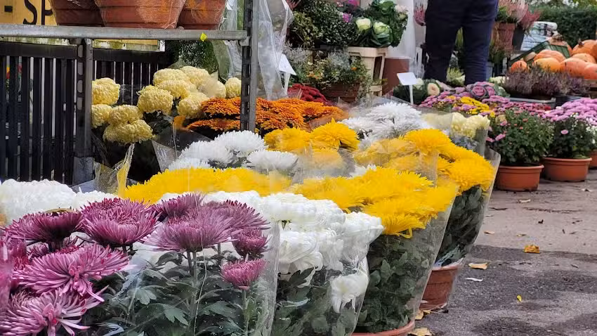 Kwiaciarnia Kwiatkiodpanatatki