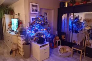 Kwiaciarnia KwiatLOVErs