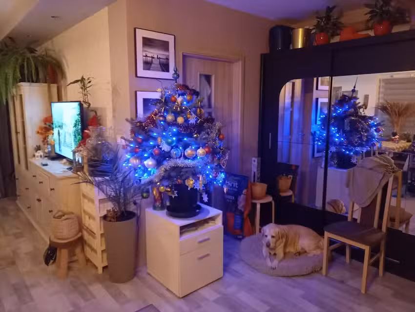 Kwiaciarnia KwiatLOVErs