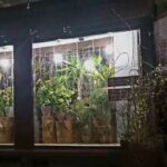 Kwiaciarnia KWIATOLKA