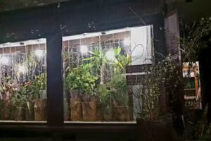 Kwiaciarnia KWIATOLKA