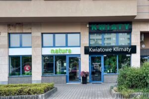 Kwiaciarnia Kwiatowe Klimaty