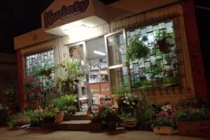 Kwiaciarnia Kwiatuszek