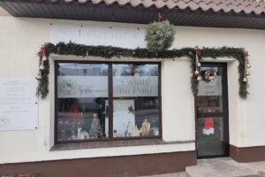 Kwiaciarnia Kwiaty na Pniu