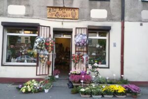 Kwiaciarnia Kwiaty u Sylwii