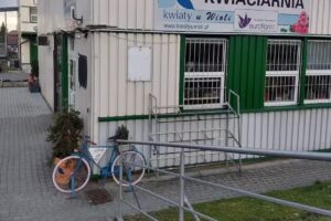 Kwiaciarnia „Kwiaty u Wioli”