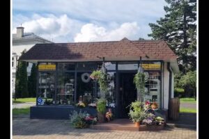 Kwiaciarnia KWIATY ZIELONE KLIMATY Małgorzata Stawiarz