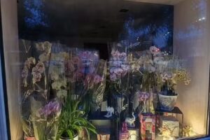 Kwiaciarnia Kwiatysia Justyna Szymańska