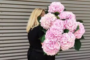 Kwiaciarnia La Flor CH Sarni Stok