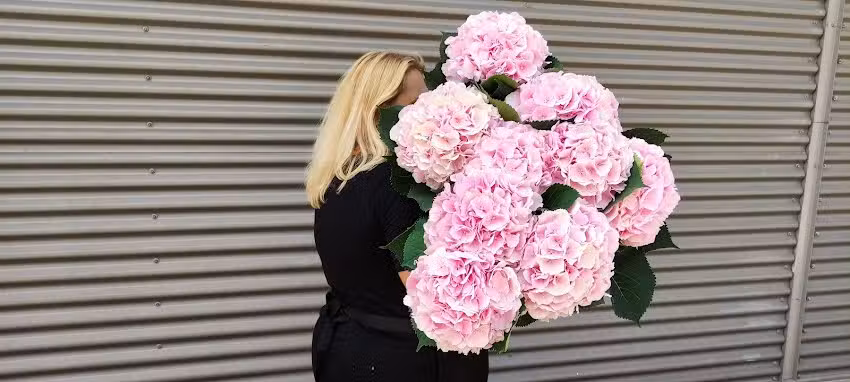 Kwiaciarnia La Flor CH Sarni Stok