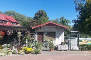 Kwiaciarnia Laguna Gniewino