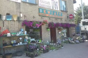 KWIACIARNIA LASKOWSKA GOŁKOWICE