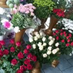 Kwiaciarnia Lawendowa