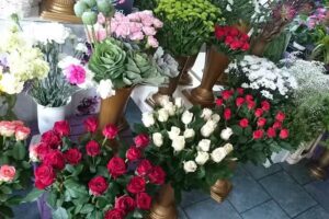 Kwiaciarnia Lawendowa