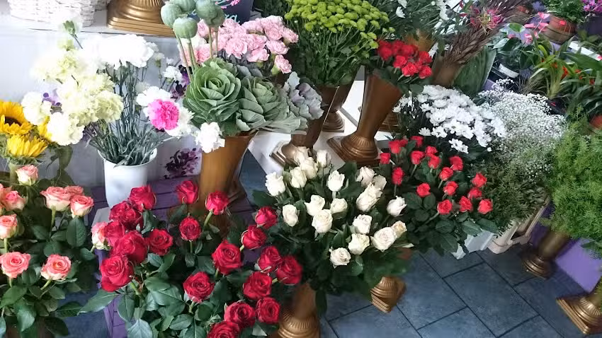 Kwiaciarnia Lawendowa