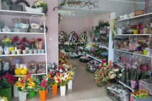 Kwiaciarnia Lawendowa