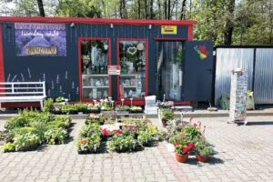 Kwiaciarnia Lawendowy Zakątek