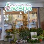 Kwiaciarnia Leśna