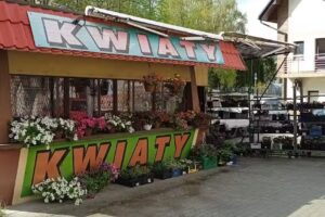 Kwiaciarnia Lilia Aneta Rapacz