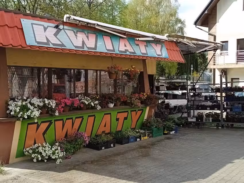 Kwiaciarnia Lilia Aneta Rapacz