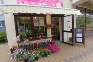 Kwiaciarnia Lilia, XERO (ksero, wydruki, skan)