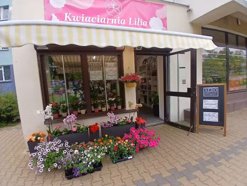 Kwiaciarnia Lilia, XERO (ksero, wydruki, skan)