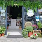 Kwiaciarnia Lily Flowers