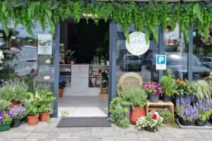 Kwiaciarnia Lily Flowers