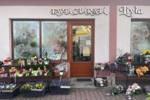 Kwiaciarnia Livia