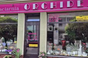 Kwiaciarnia Łowicz ORCHIDEA