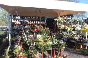 Kwiaciarnia Lublin Kwiaciarnia Gabriela Marta Szafranek Dowóz Lublin Majdanek Unicka Lipowa