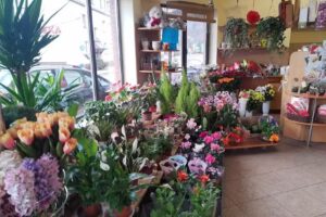 Kwiaciarnia „Lucyna”