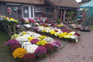 Kwiaciarnia Łukasz Grabkowski