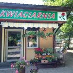 Kwiaciarnia Magdalenka