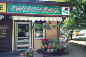 Kwiaciarnia Magdalenka