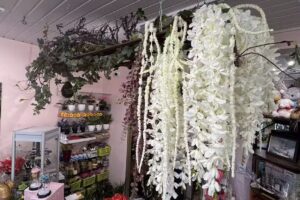 Kwiaciarnia Magenta Łużycka