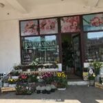 Kwiaciarnia magia kwiatów