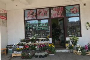 Kwiaciarnia magia kwiatów